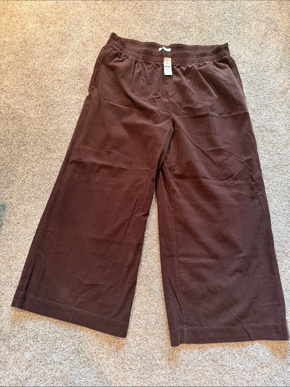 LOFT- Women’s Wide-Leg corduroy Pull-On Pants - Brown